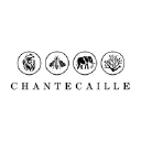 Chantecaille cashback offer