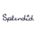 Splendid cashback offer